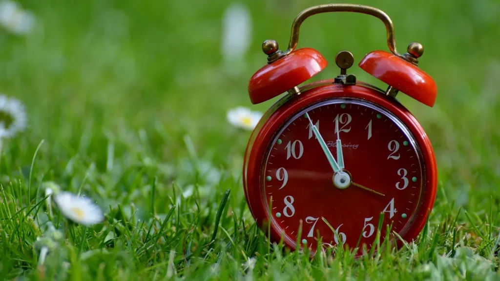 A red vintage alarm clock showing nearly twelve o'clock sits in green grass with daisies.