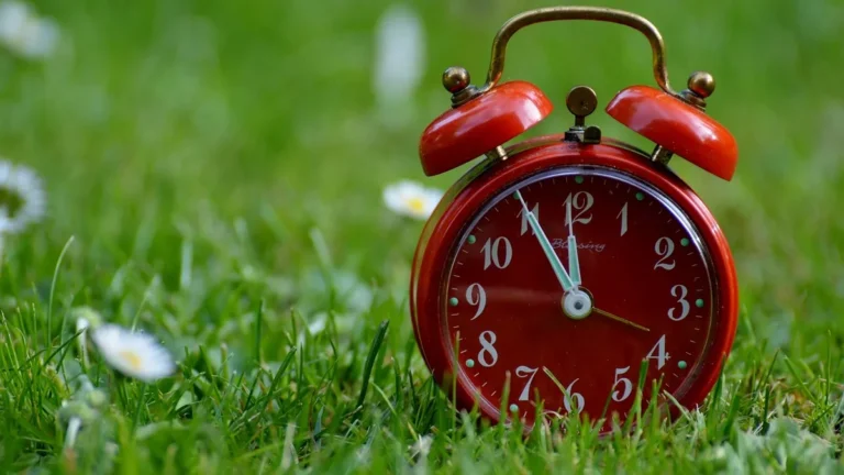 A red vintage alarm clock showing nearly twelve o'clock sits in green grass with daisies.