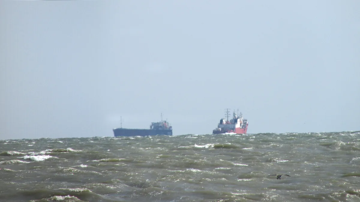 Two cargo ships navigate choppy grey waters under an overcast sky, with a bird flying low in the foreground.