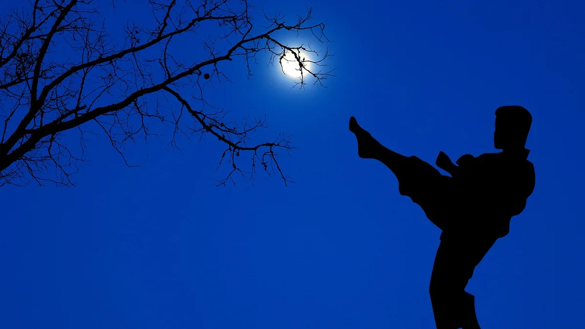 Silhouette of a person performing a high kick against a blue night sky with a moon and bare tree branches.