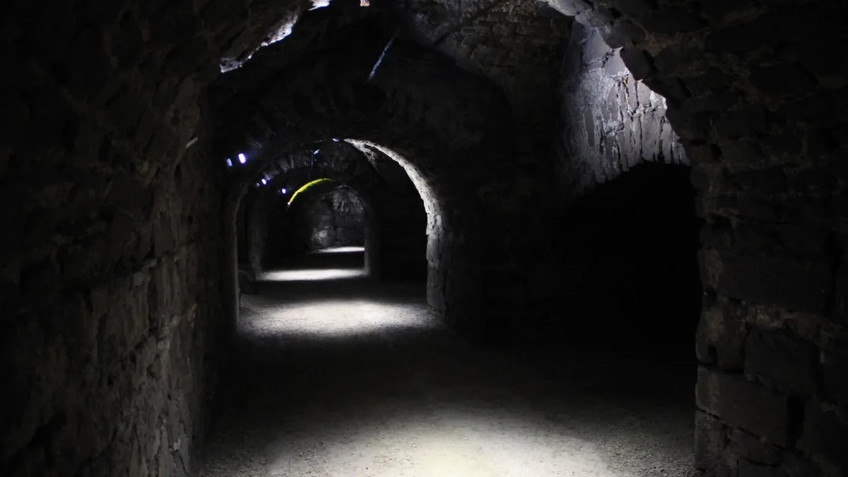 A dark, arched stone corridor illuminated by faint lights, evoking a mysterious dungeon setting.