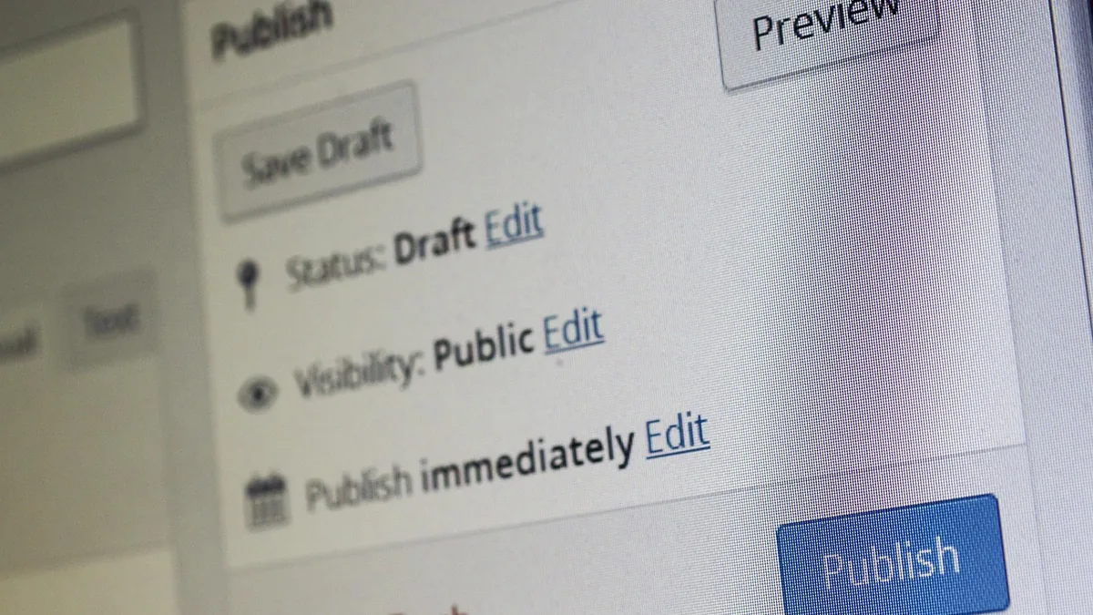Close-up of a website backend showing draft status, visibility settings, and a publish button.