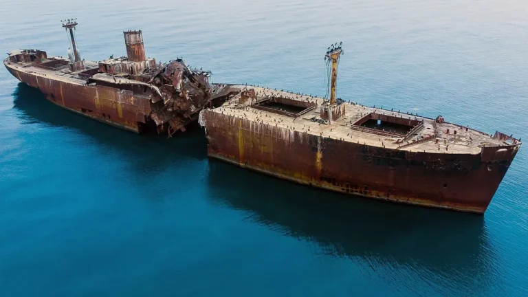 A rusty, split-in-half abandoned freighter shipwreck floating in deep blue ocean water, covered with perching birds.