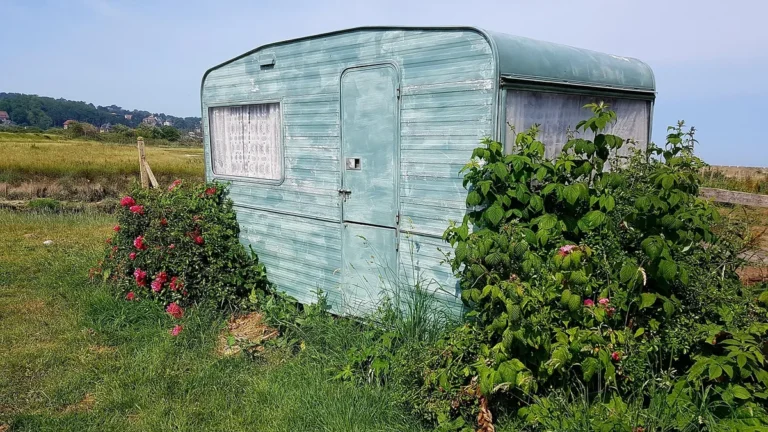 A weathered teal vintage caravan stands in a grassy field surrounded by green bushes with pink flowers.